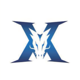 场比赛中进 场比赛中进